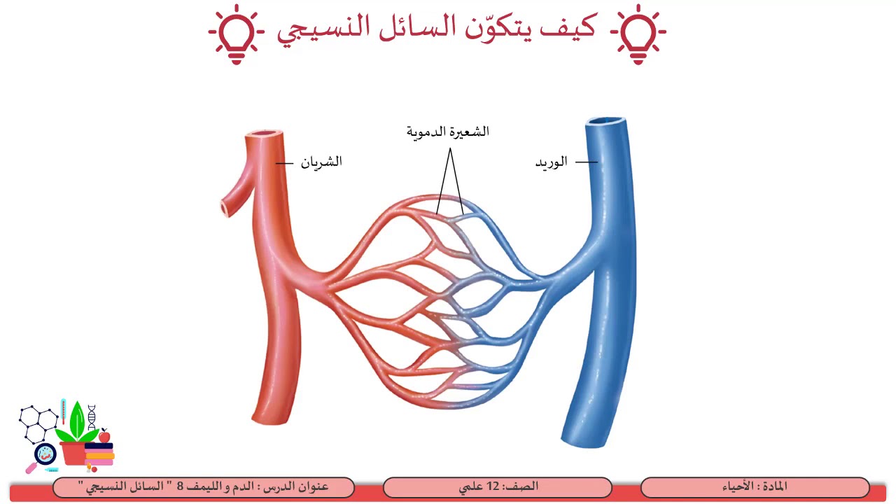 الصف الثاني عشر   المسار العلمي   الأحياء   الدم و اللمف 8   السائل النسيجي