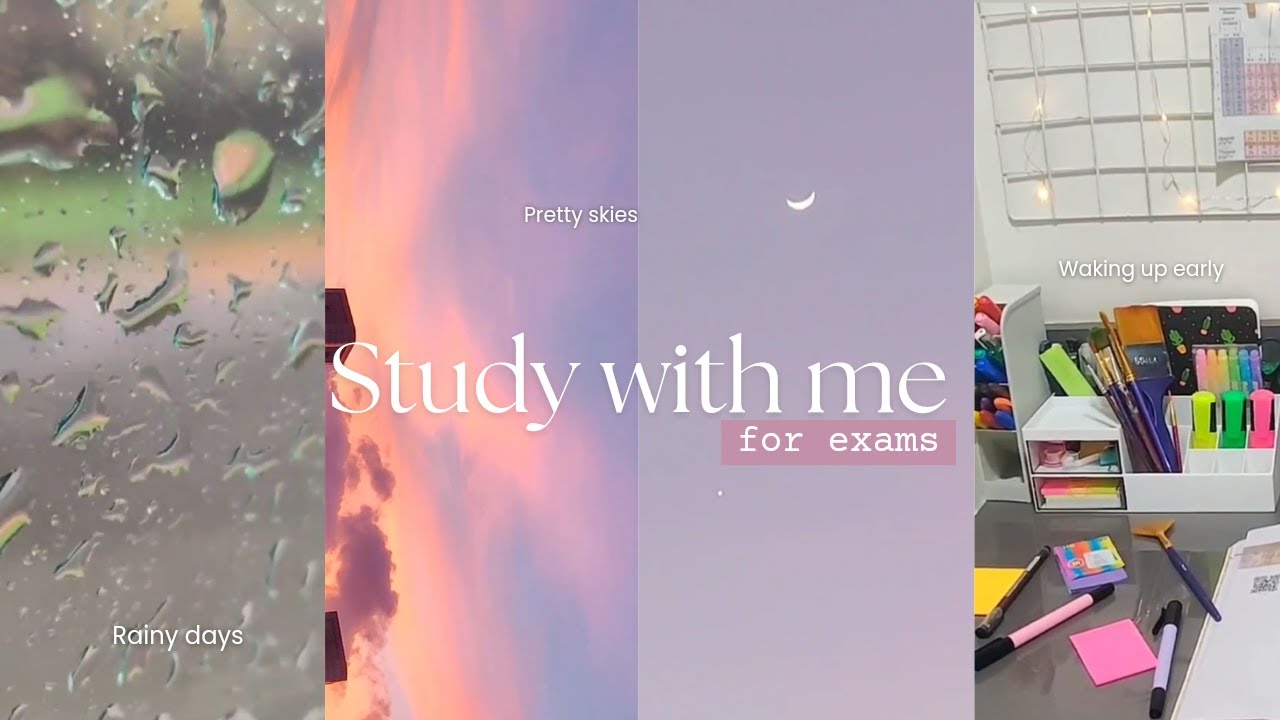 Study with me for unit tests! Grade 12 CBSE Science | Study vlog