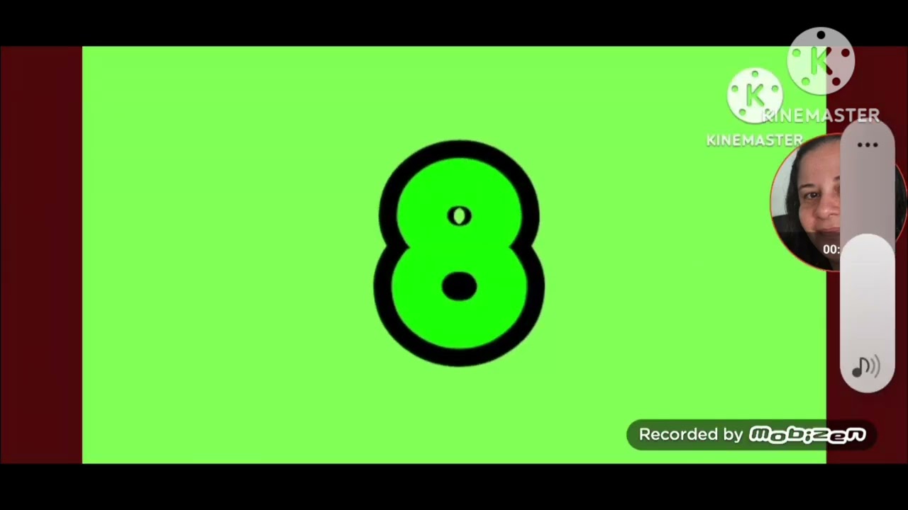 Bug Game Over Green Screen