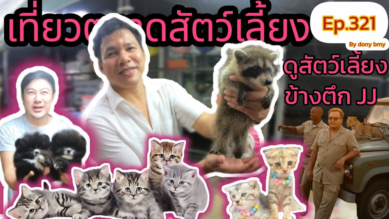 เที่ยวตลาดสัตว์เลี้ยง Ep.321 🐈🐿🦜 |บูธข้างตึกเจเจมอลล์| #ตลาดจตุจักร #Chatuchakmarket #36ในมาแรง