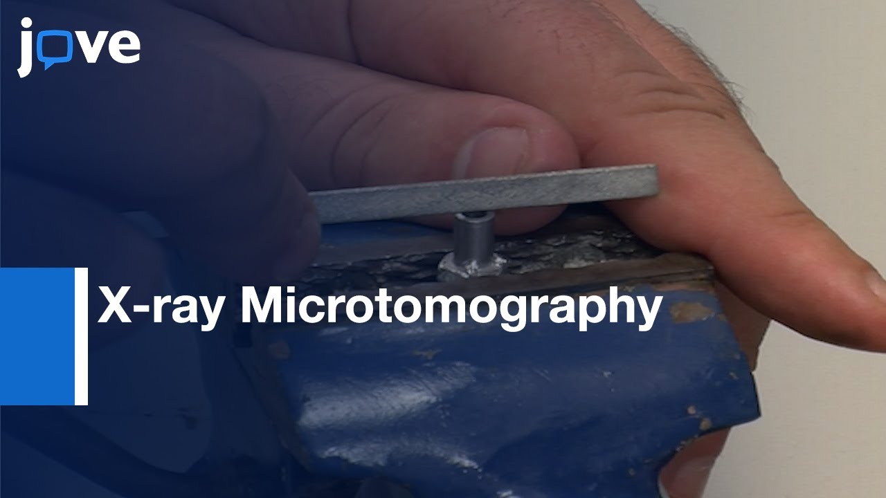 Pore-scale Imaging of Multiple Fluid Phases by X-ray Microtomography | Protocol Preview