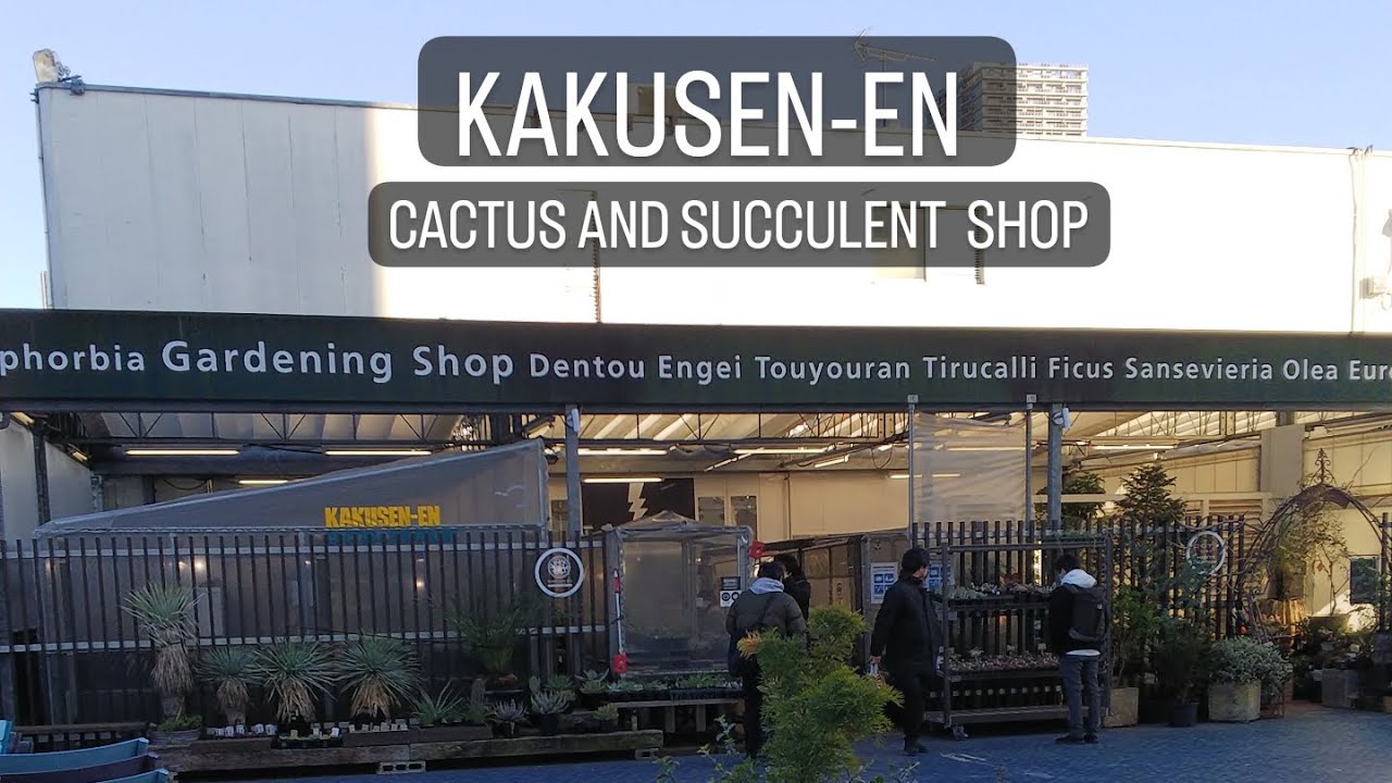 Cacti nursery tour. Ikebukuro, Japan🇯🇵🌵