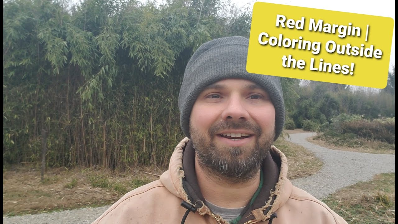 How Phyllostachys rubromarginata bends the rule!