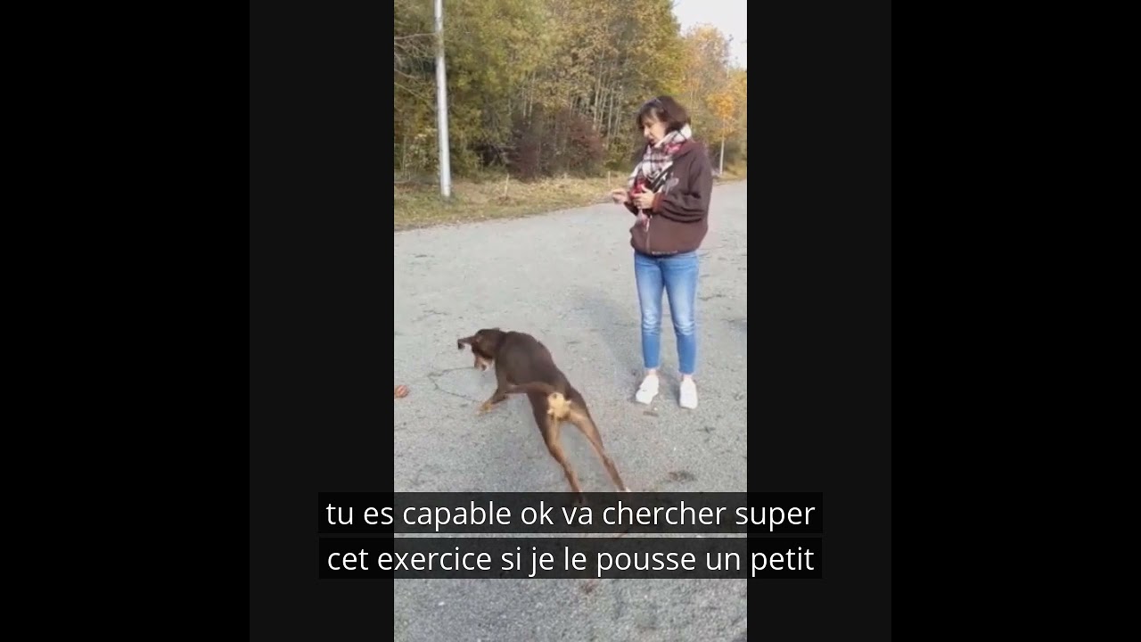 Le bon usage de la balle