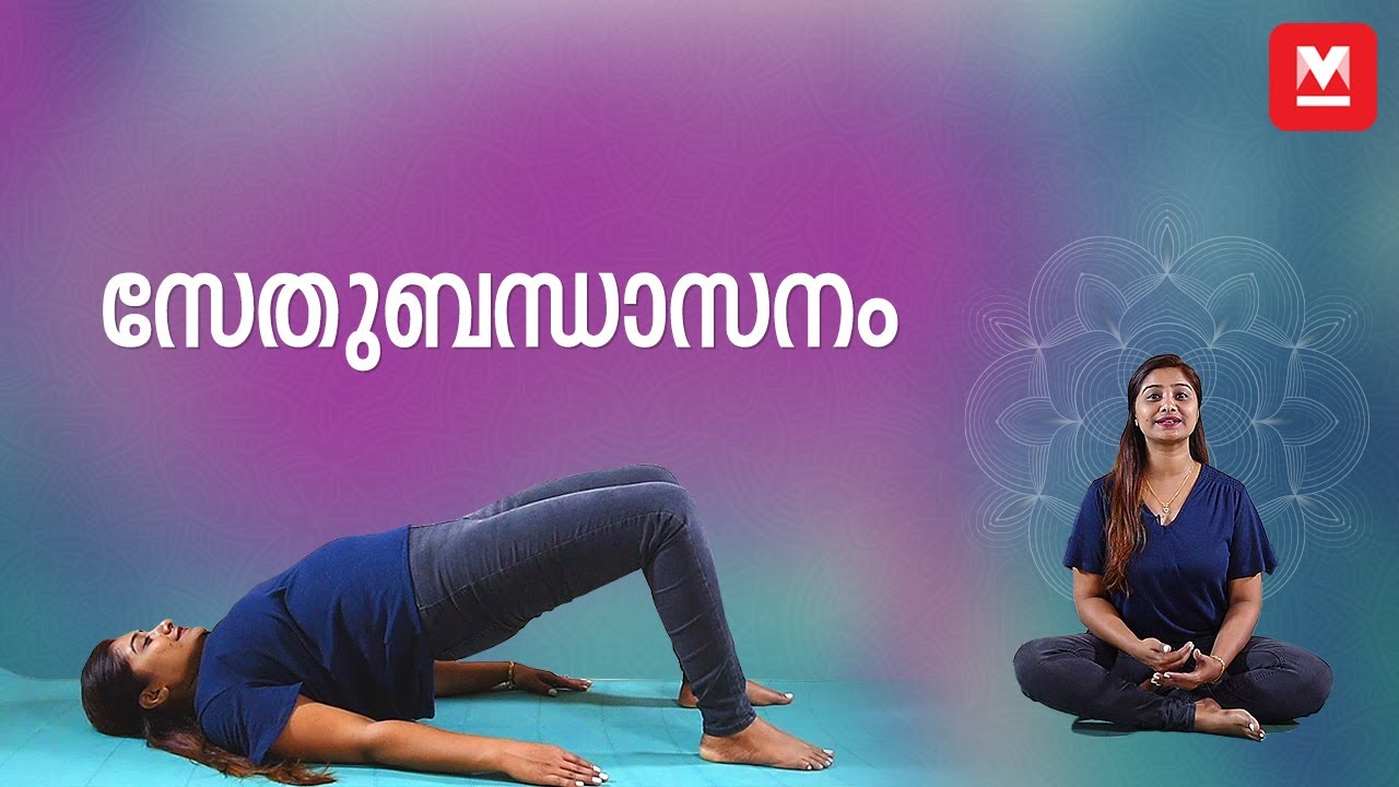 സേതുബന്ധാസനം |  Setu Bandhasana | Bridge Pose | Setu Bandhasana by Sujithra Menon