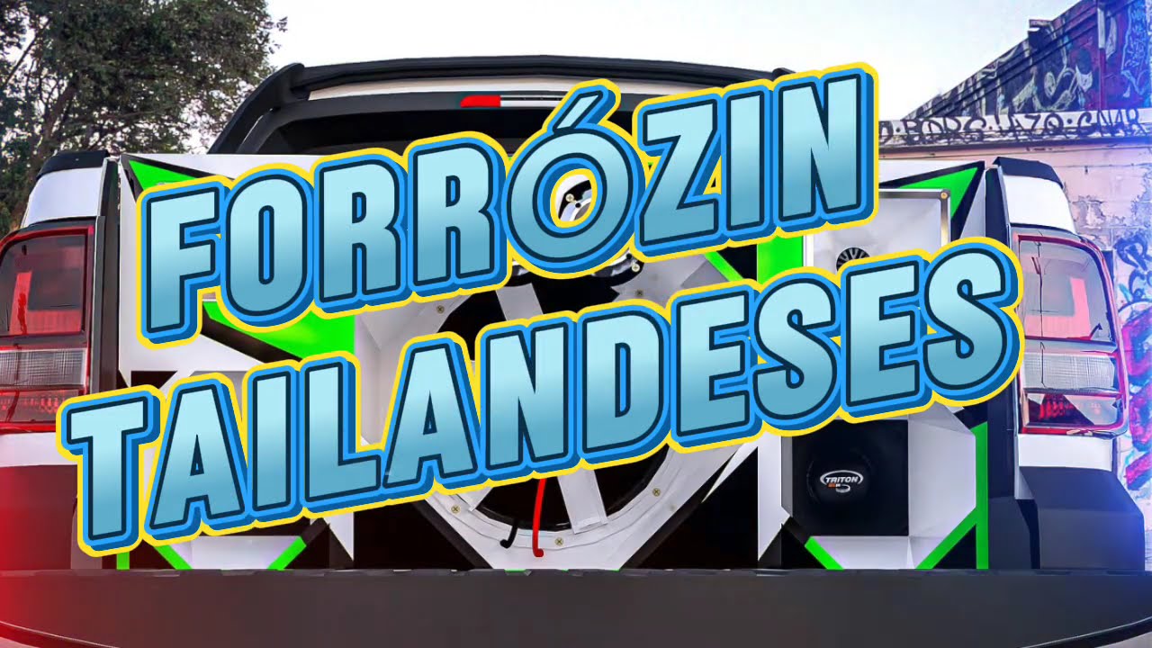 FORRÓZIN TAILANDESES _ NOVO CARLOS BATIDÃO _ REMIX 