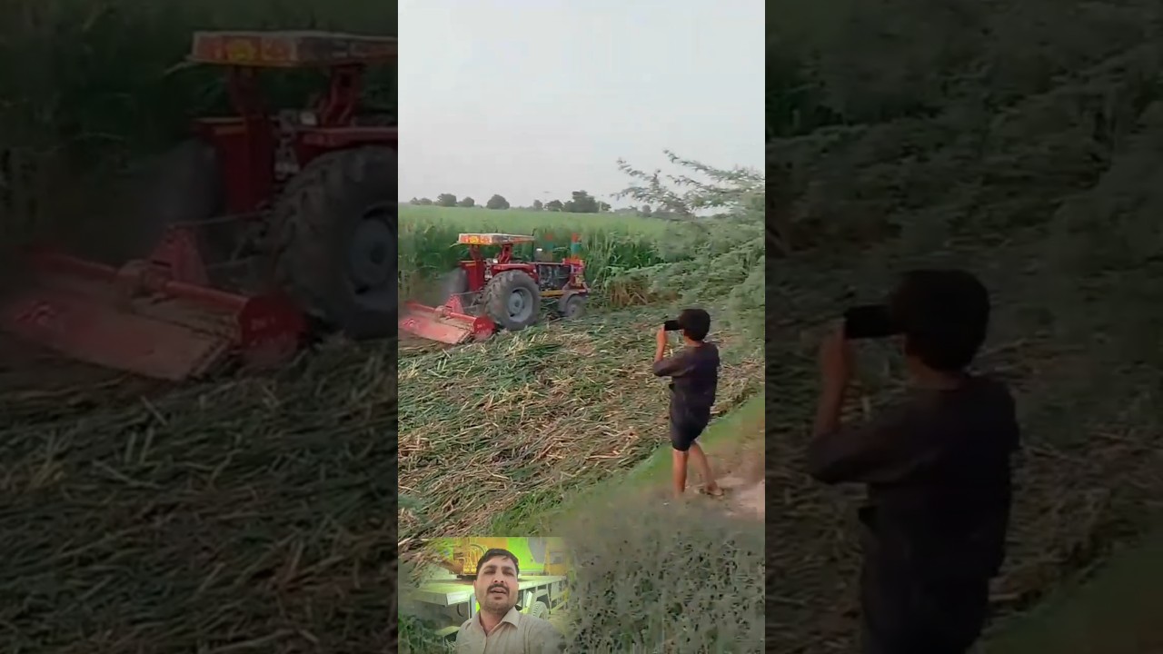 Kiya aap ke gaon min bhi government ne qabzah mafiya ke khalaf karwai sharo kardi started action