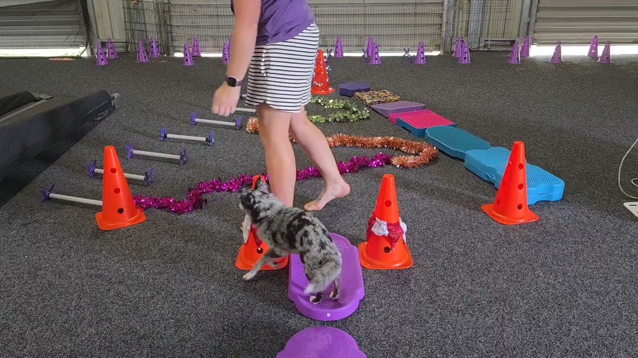 Happy Holidays! Christmas tree fitness circuit