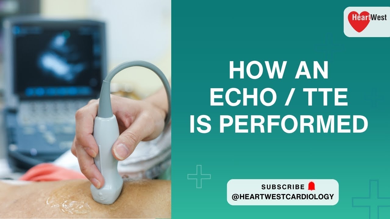 Learn how an Echocardiogram / TTE is performed