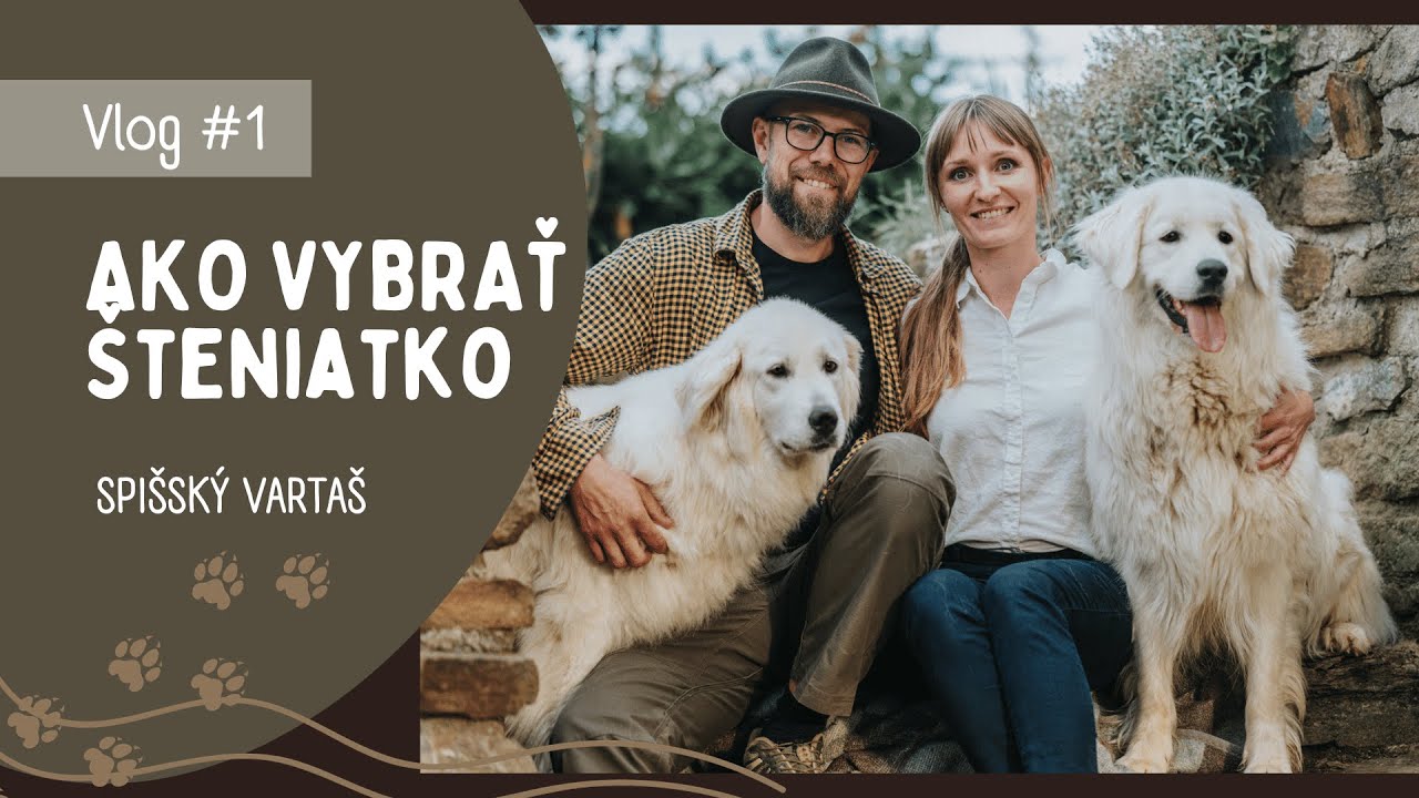 #1 AKO VYBRAŤ ŠTENIATKO
