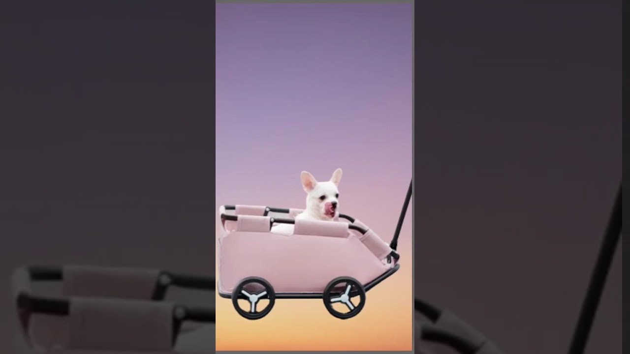 Must-Have Pet Strollers! 🐶🐱
