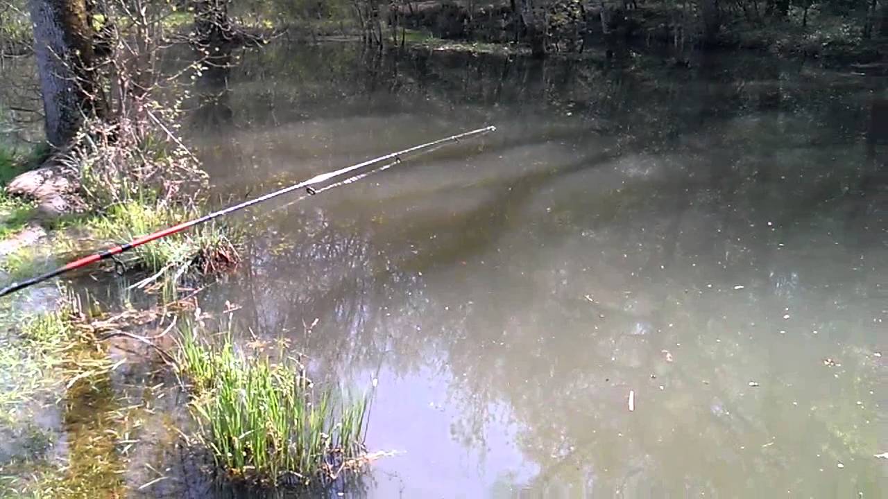 P&ecirc;che de la perche en hiver aux vers !!! =)