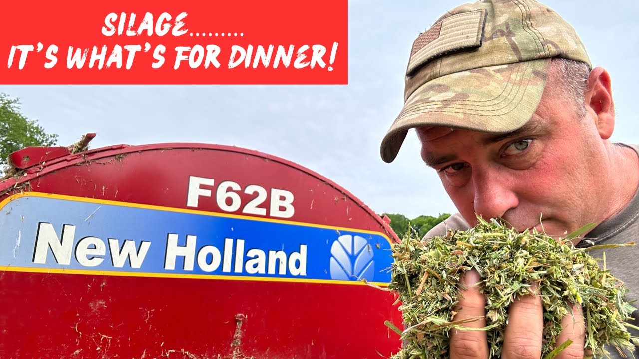 Storing Food For 300 Head Of Cattle!