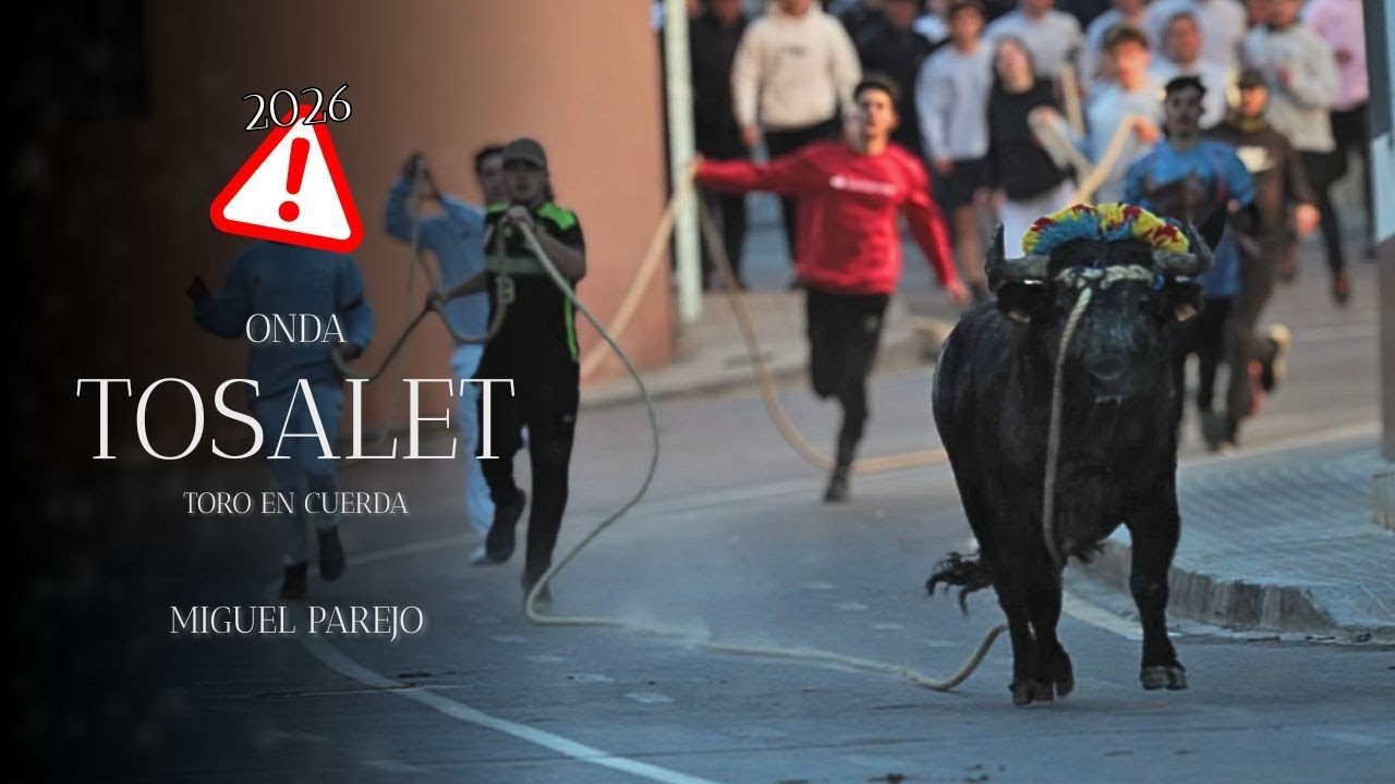 TOROS EN CUERDA TOSALET 2026 | Toros de Laura Parejo