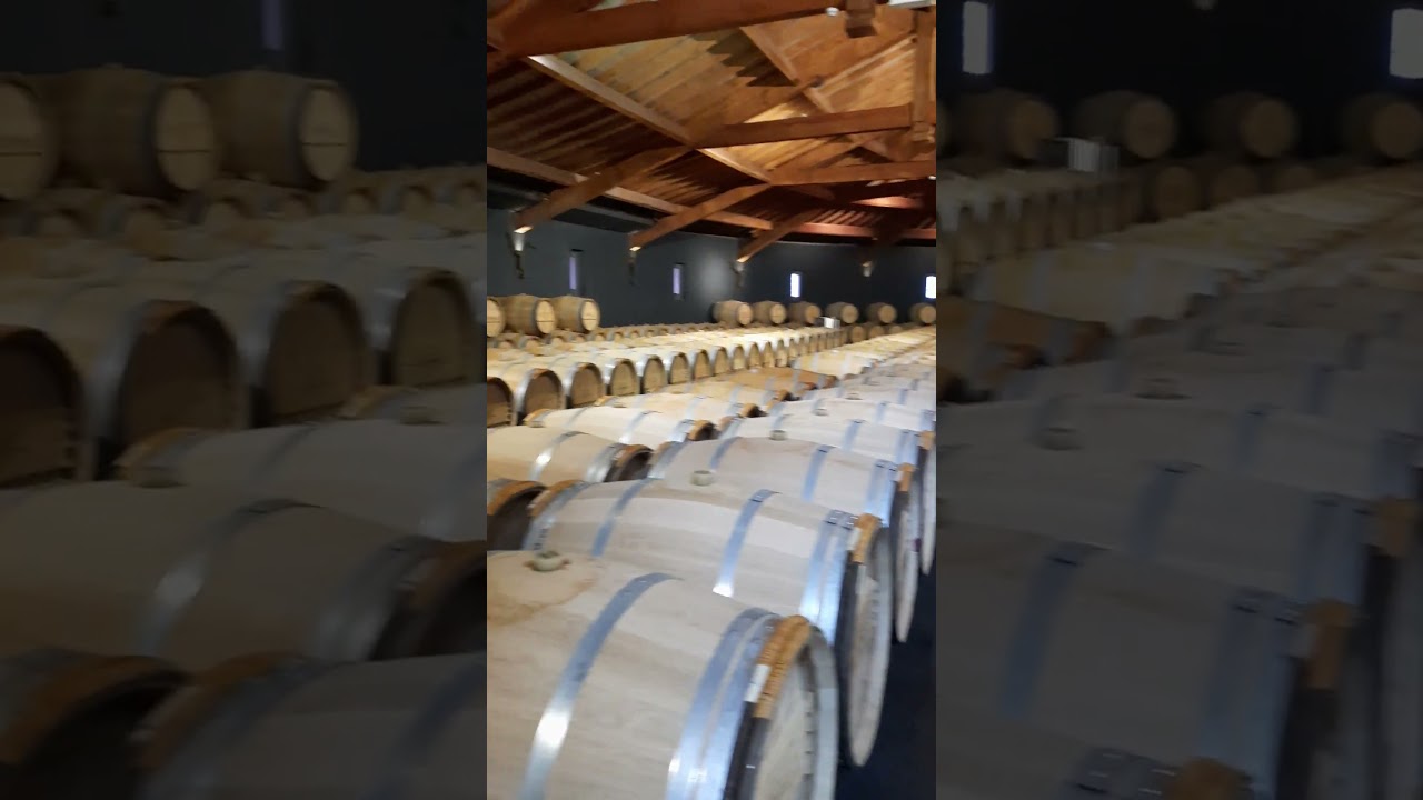 Ch&acirc;teau Lafon Rochet  -  Saint-Est&egrave;phe - Chai and Oak Barrels