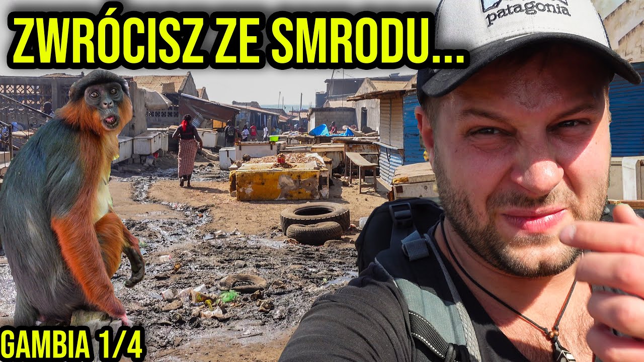 GAMBIA - CZY WARTO NA WAKACJE?