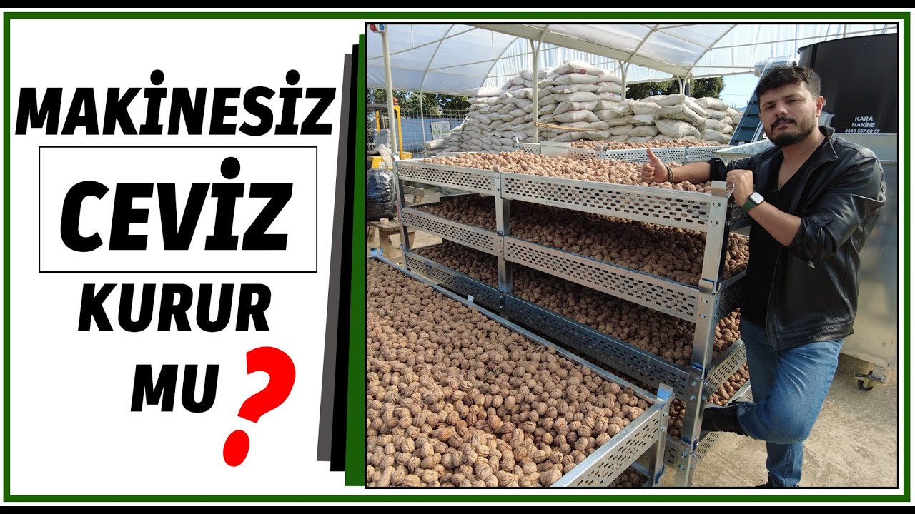 RAFTA CEVİZ NASIL KURUTULUR ?