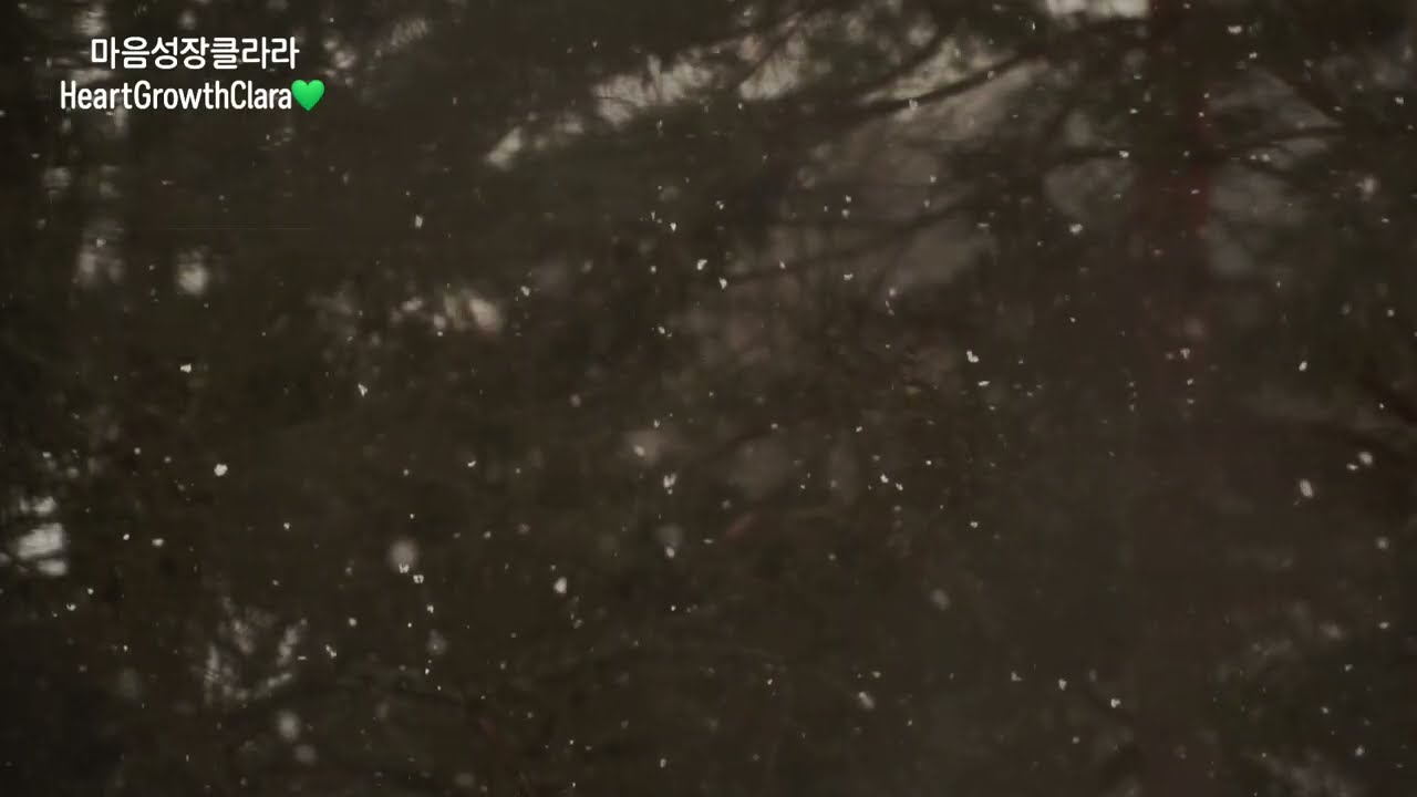 하루 끝에 듣는 따뜻한 감성 트로트 1시간💚 | Emotional Korean Trot to End the Day 1Hour💚