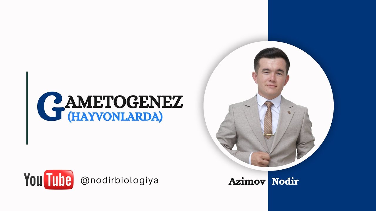 GAMETOGENEZ l HAYVONLARDA JINSIY HUJAYRA HOSIL BO'LISH