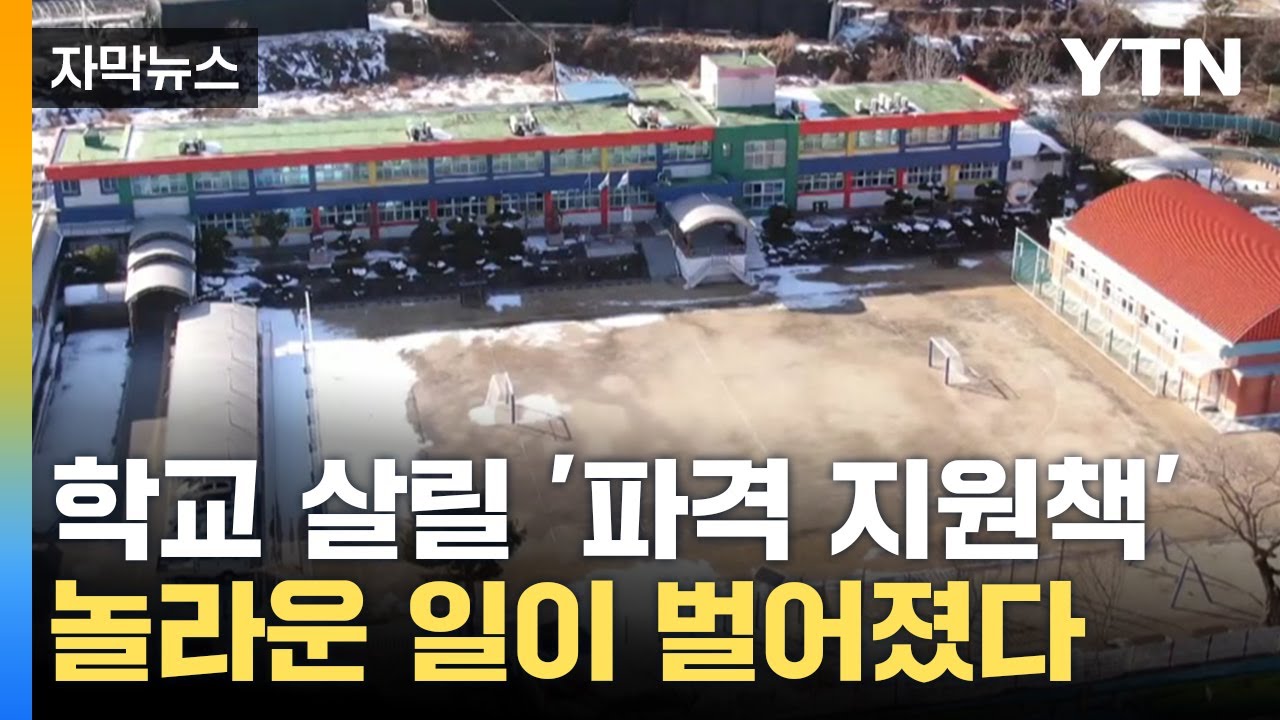 [자막뉴스] 