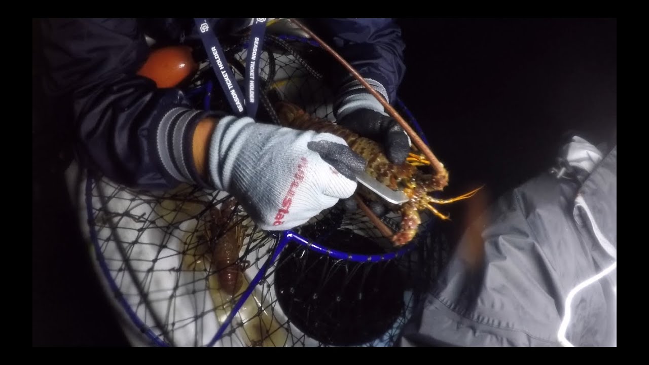 Hoop Netting San Diego Bay from a Kayak