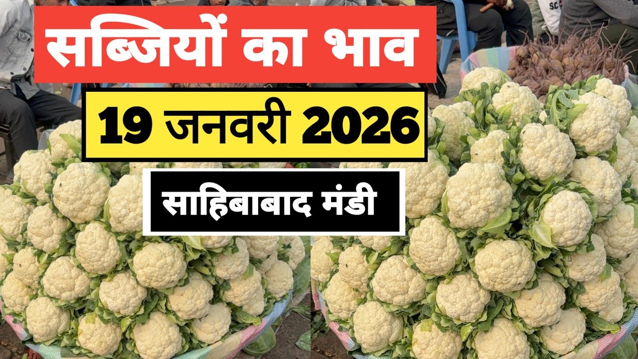 19 January 2026 🥬🫑 🥦 सब्जियों का भाव साहिबाबाद मंडी | today vegitables rates #mandirates #mandi 