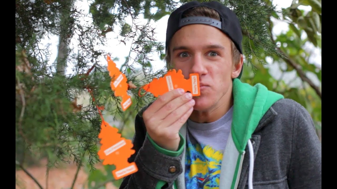 Story Of My Life - One Direction Parody