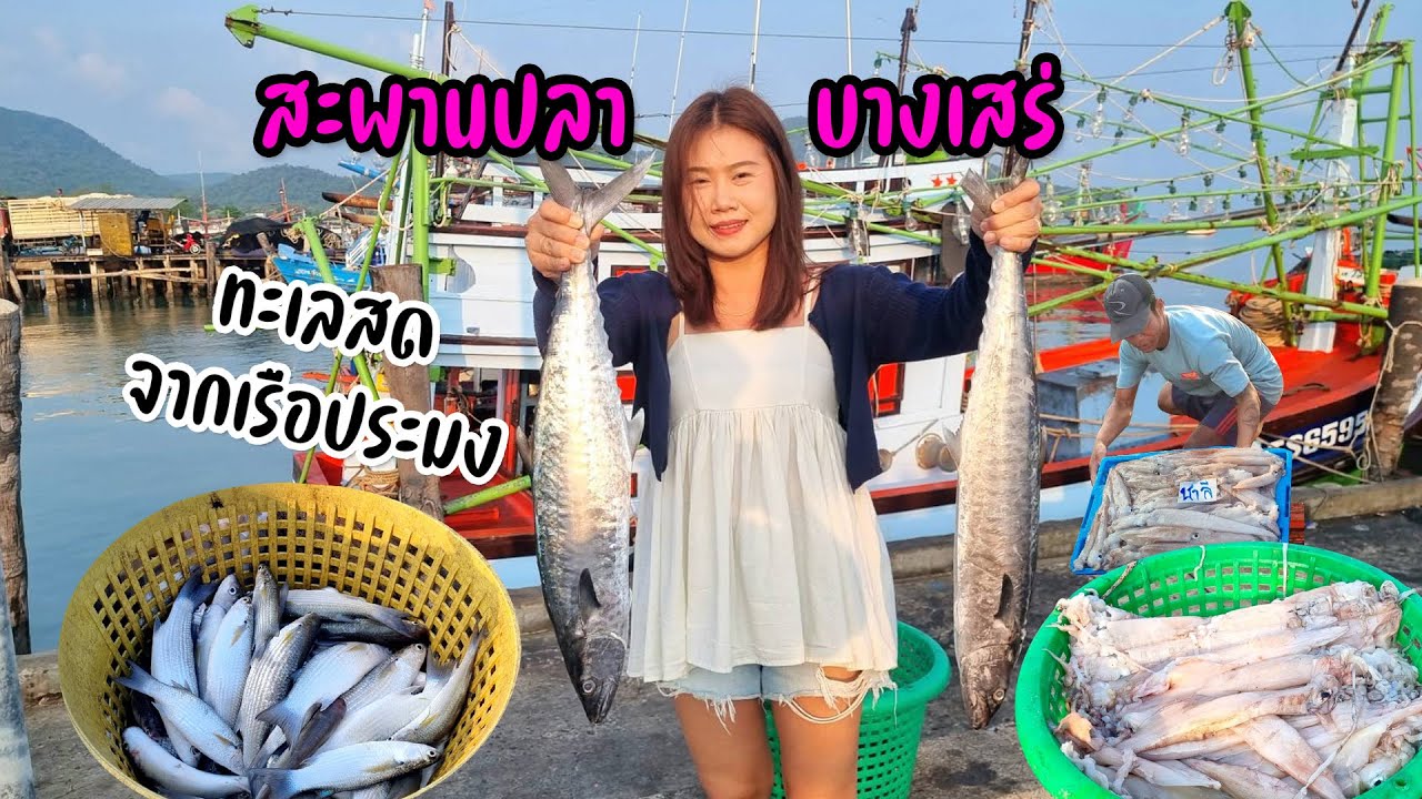 เสน่ห์ชุมชนบางเสร่สัตหีบของกินท้องถิ่นยามเช้า ขายทะเลสดๆจากเรือประมง #ร้อนๆเลาะเล 23