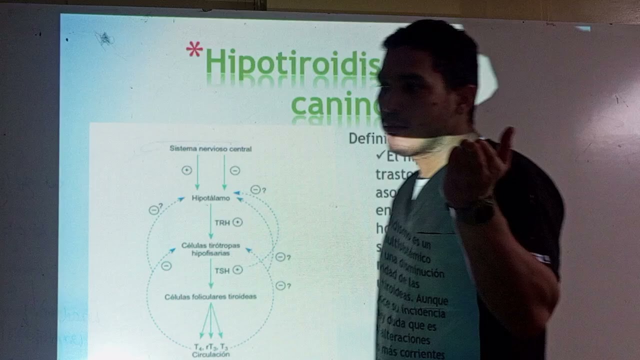 Interna. Enf. Sistema Endocrino 