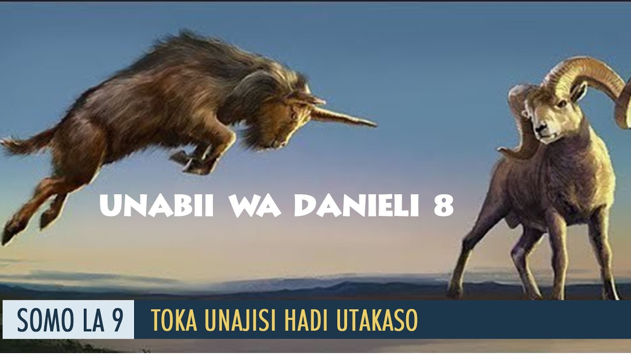 UNABII WA DANIELI8 |  BEBERU| KONDOO NA PEMBE NDOGO|