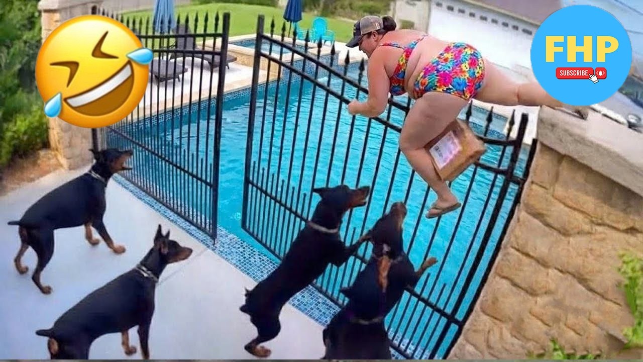 Try Not To Laugh 😂 Top 100 Funniest Videos Ever | 99% FAIL This Challenge #37