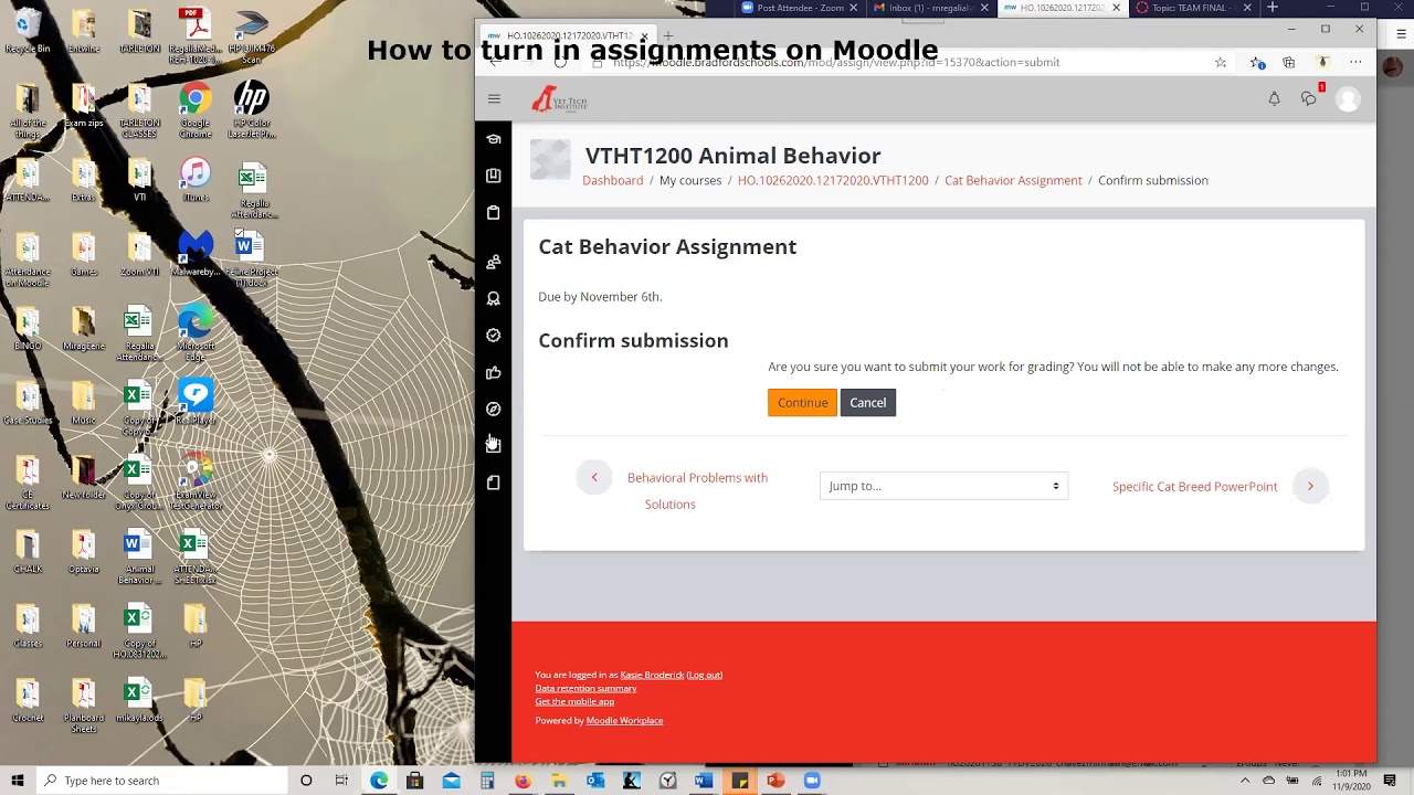 How to turn in assignments on Moodle