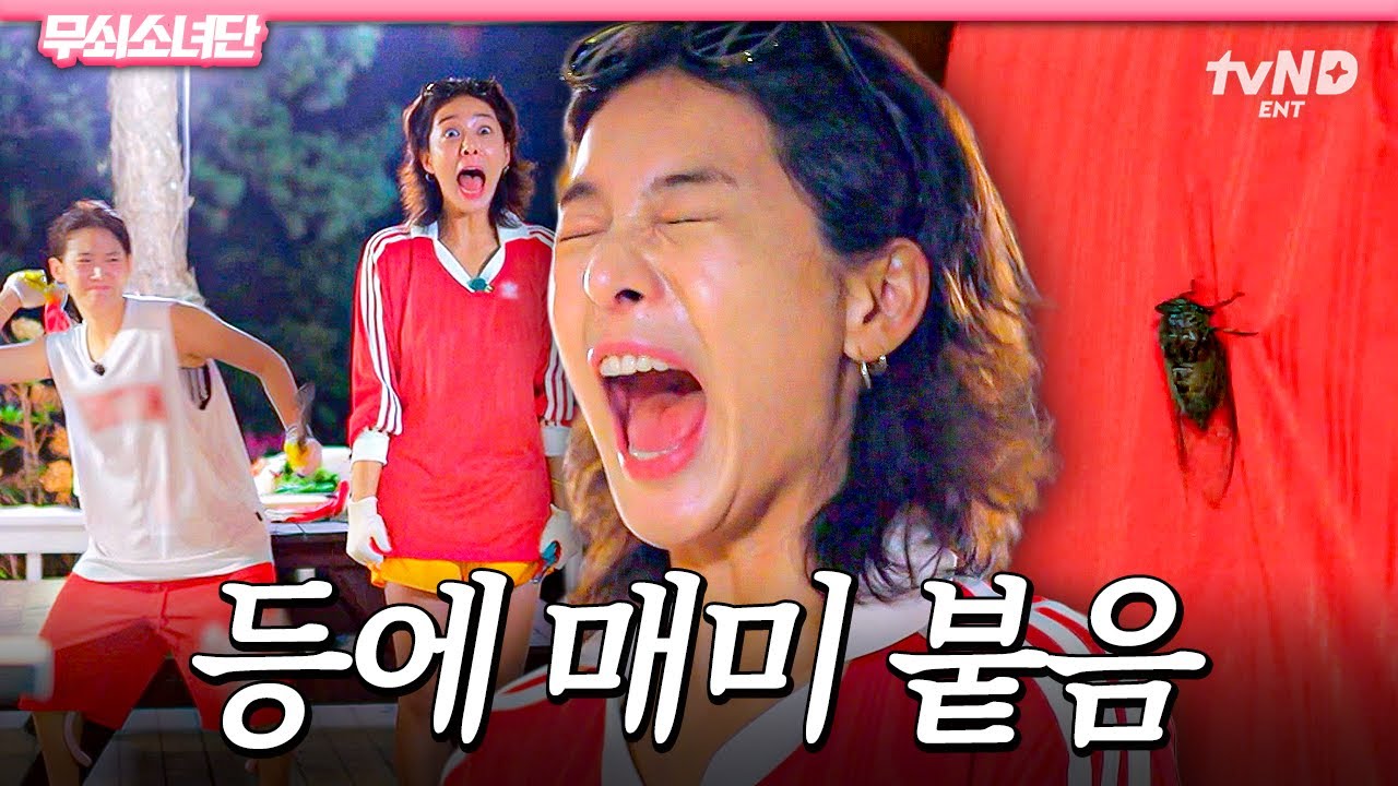 [#무쇠소녀단] 설인아가 서있었슨. 등에 매미가 붙은 채로 그냥 있었슨😹 고기 굽다가 갑자기 매미 퇴치하는 박주현 X 설인아 ㅋㅋㅋ