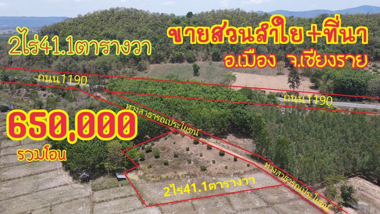 Ep479ขายที่สวน+ที่นา เนื้อที่2ไร่41.1ตารางวาขายยกแปลงที่650,000บาทรวมโอนที่จะอยู่บ้านป่าเก็ด