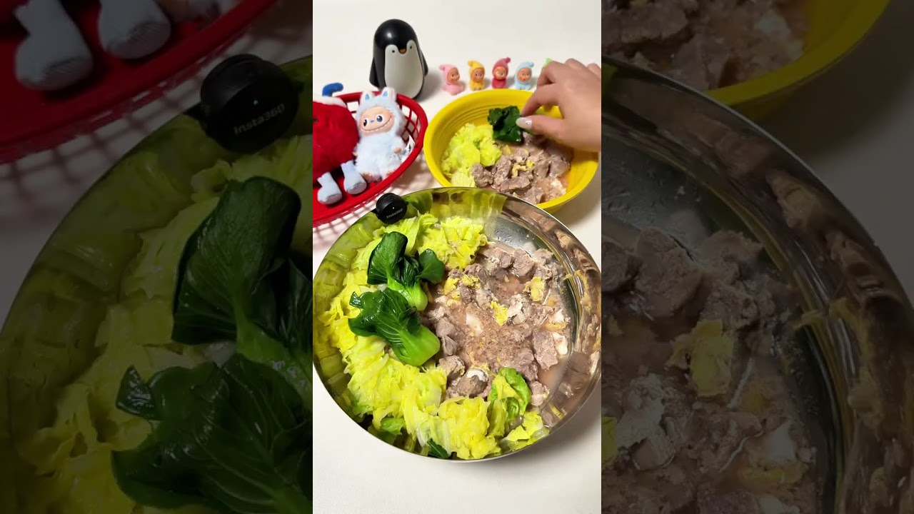 vlog.180 ble Dog family immersive meal planning#Immersive pet meal planning#Homemade dog