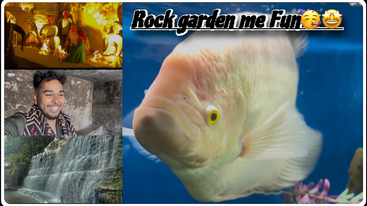 Crazy Fun in Rock Garden 🪴 🧗‍♂️| watch full vlog Enjoy |Subscribe also 🫶♥️