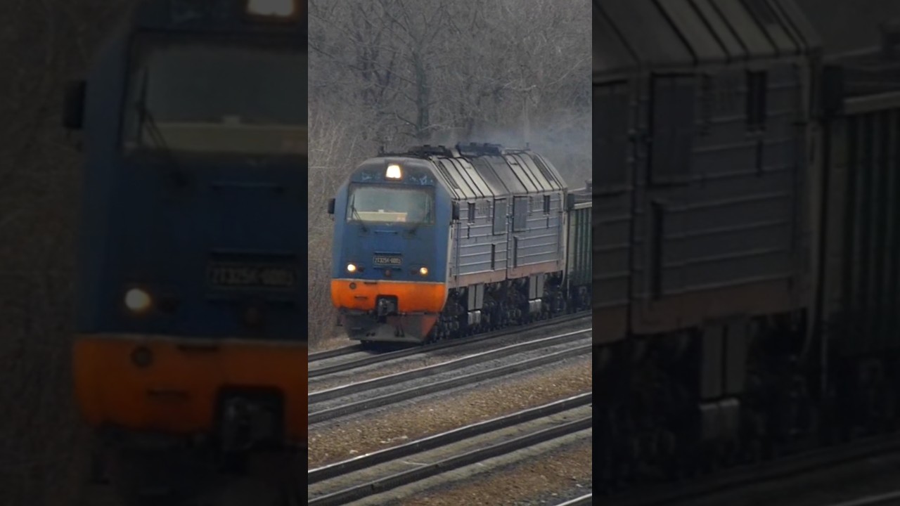 Тепловоз 2ТЭ25К-0003 с грузовым составом на перегоне Пажень -Елец