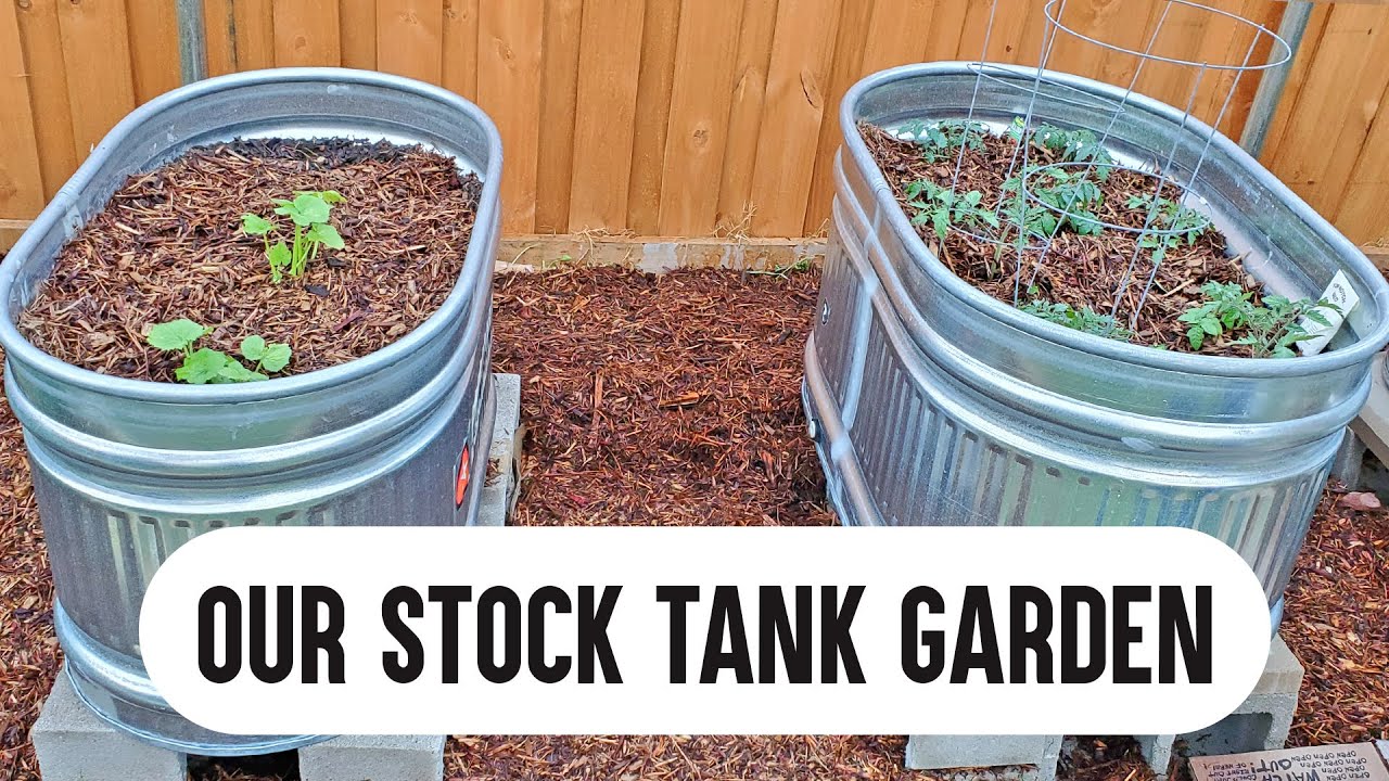 We turned Stock Tanks into a Raised Bed Garden!