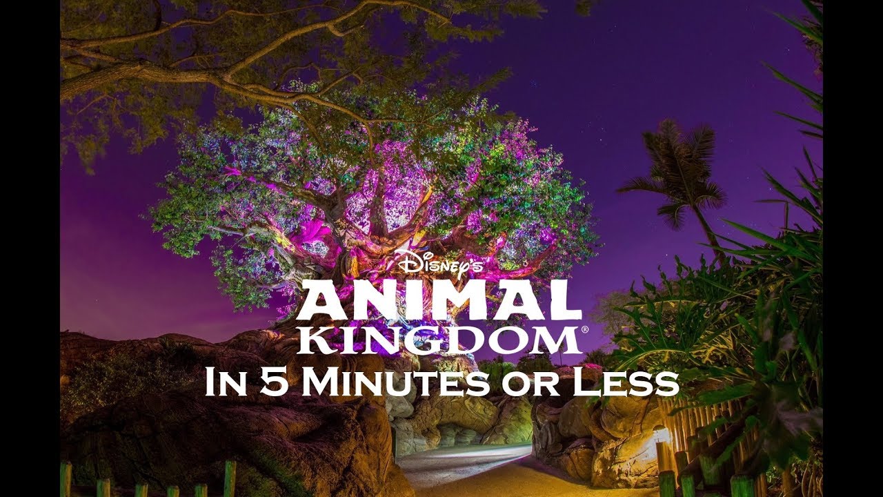 Explore Disney's Animal Kingdom in 5 Minutes