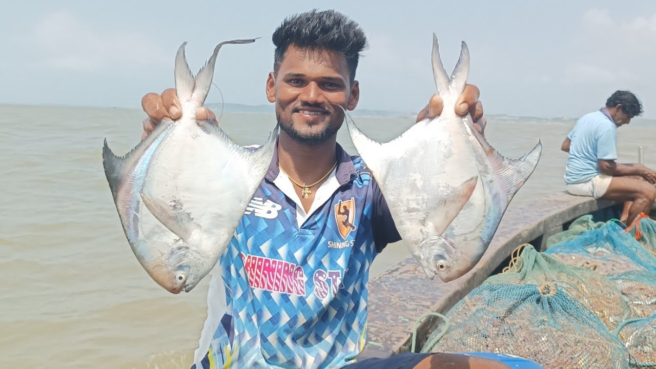पापलेट मासेमारी. pomfret fishing. Mumbai Indian fishing