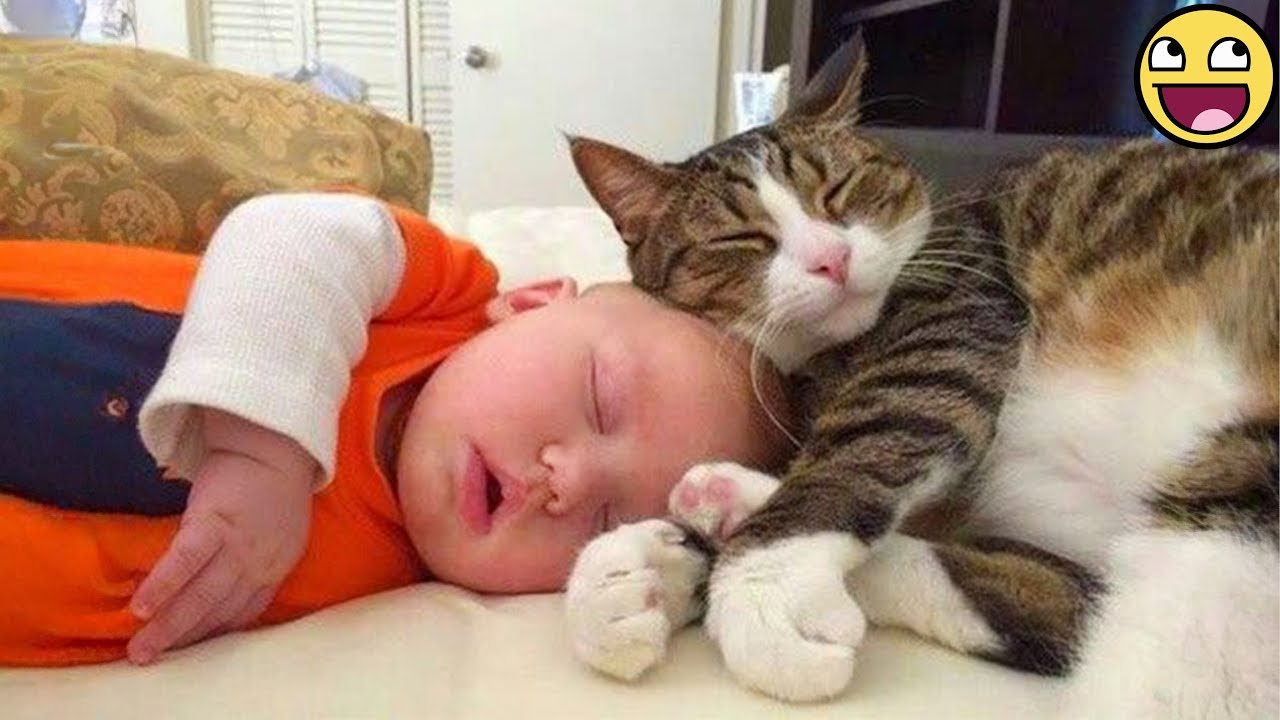 Cats Becoming Protective Guardians for Babies 🐱👶❤️ Cute Baby and Animals