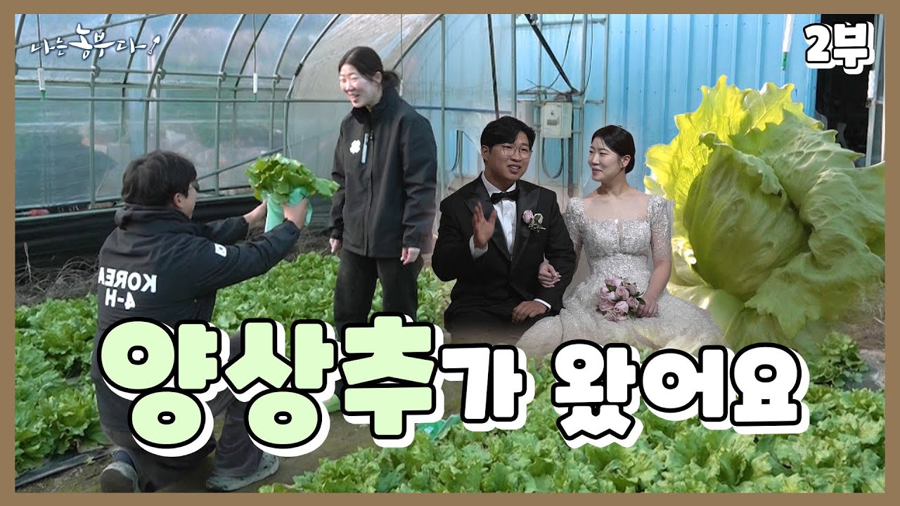 [나는 농부다 383회 1부] 웨딩 D-2 시골 남녀의 결혼 대작전