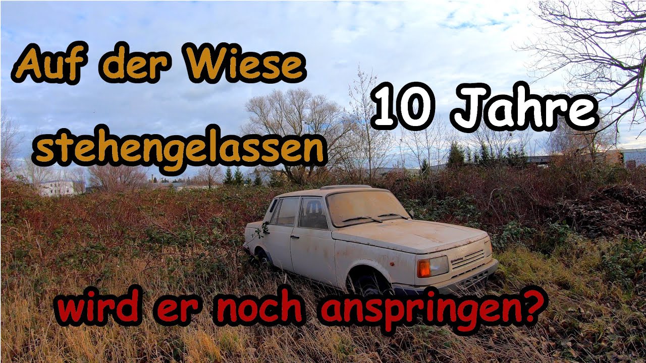 Wiesenfund, Motor start nach 10 Jahren, Wartburg 1.3 , DDR