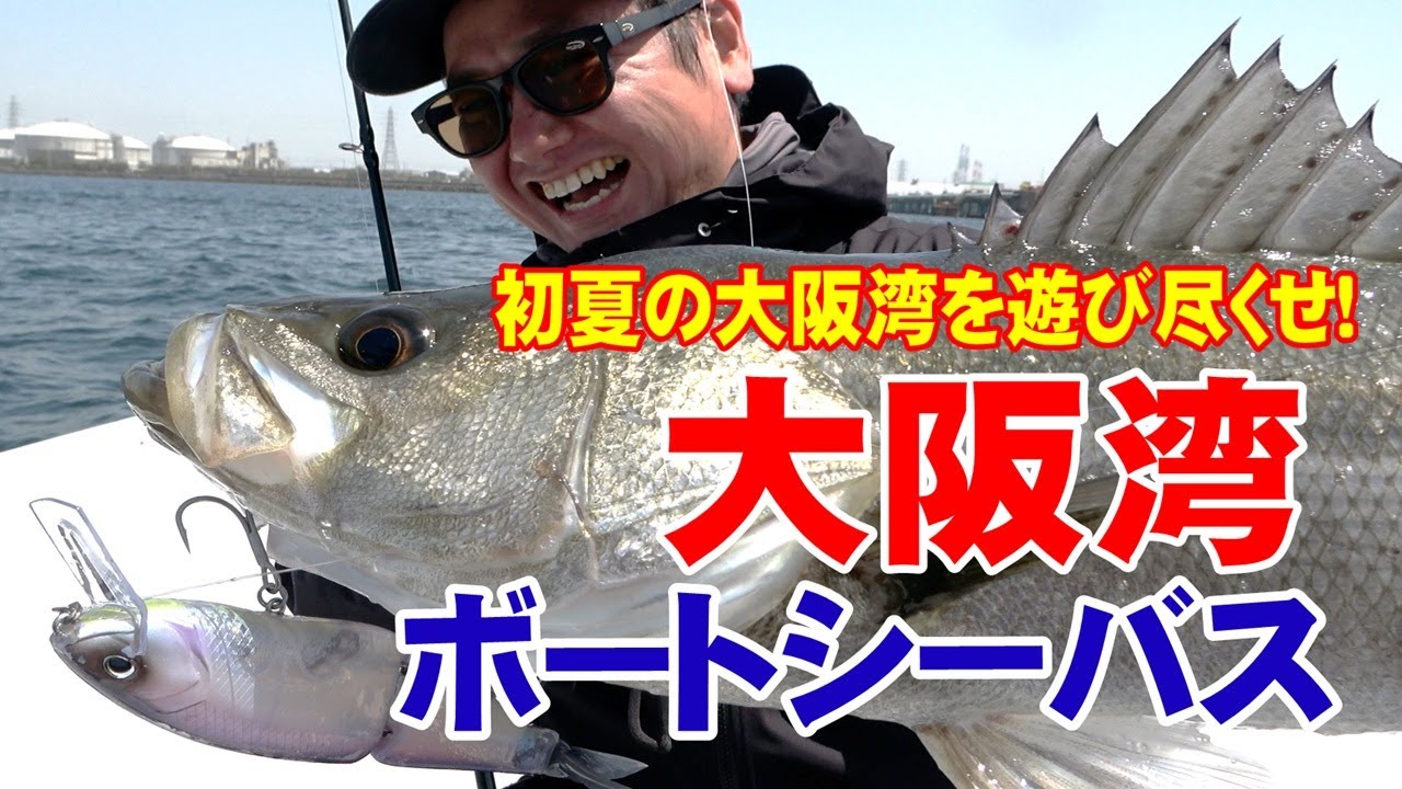 【ビッグベイトにまさかのゲスト!?】初夏の大阪湾を遊び尽くせ！【大阪湾ボートシーバスゲーム】