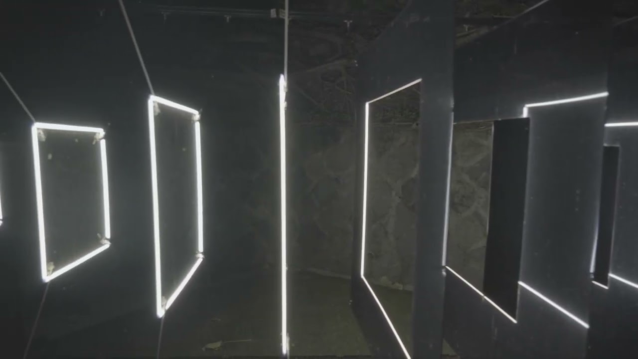 共生之鏡