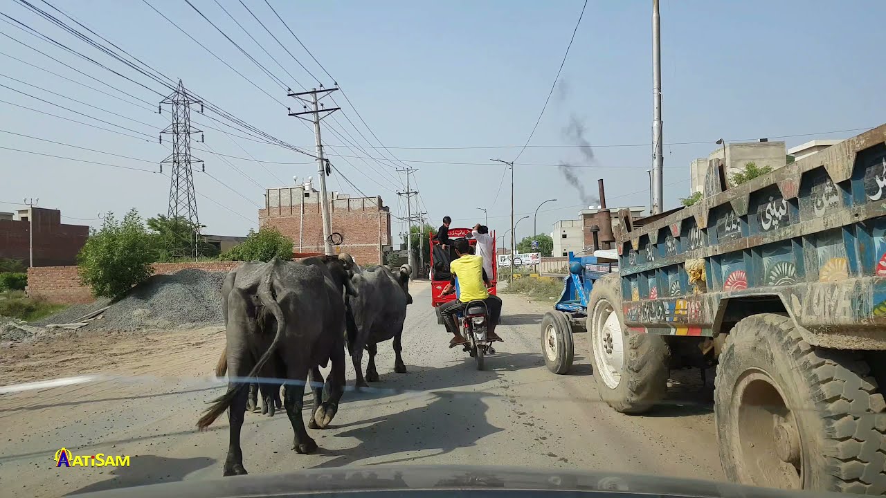 Rural Pakistan - Chak 225 RB Road S To N Faisalabad | القيادة في باكستان