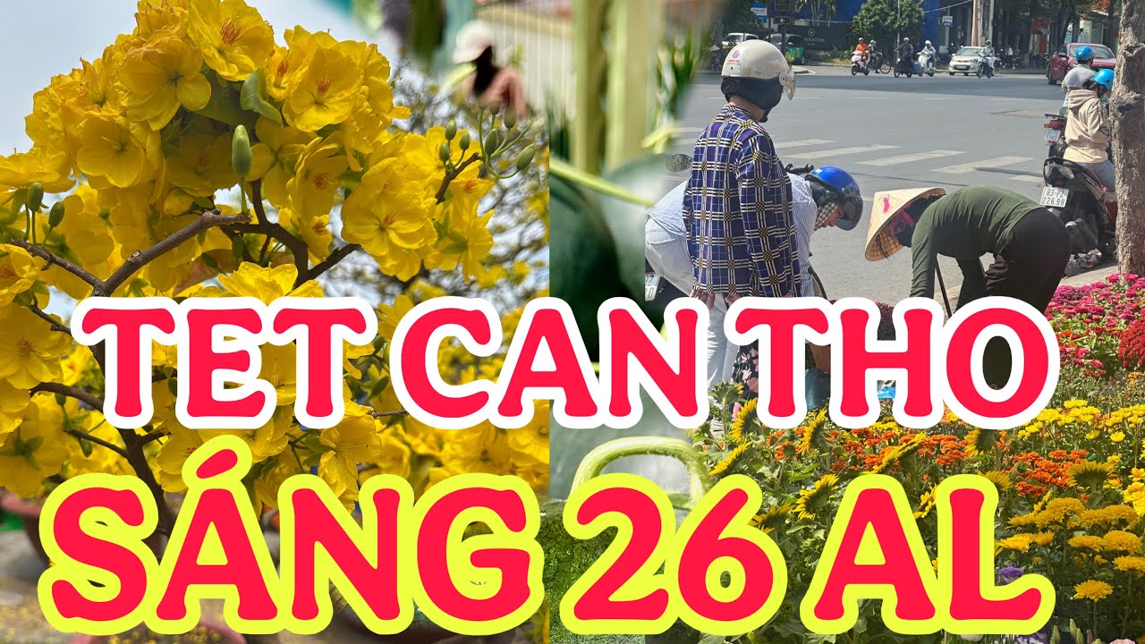 TRƯA 26 TẾT CÁC TUYẾT ĐƯỜNG HOA TÊT CẦN THƠ🌺ngày 13/2/2026🌺cần thơ ký sự