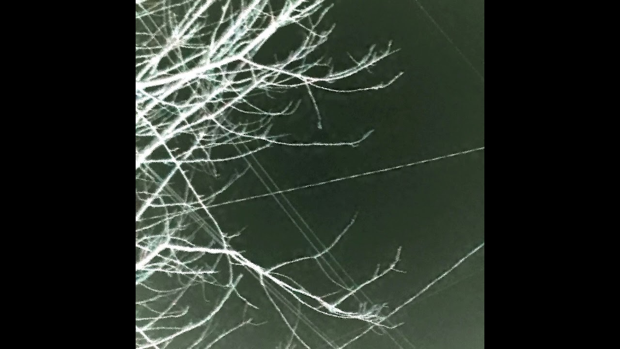 xlucid-13 — the ice forest [17.10.2024]