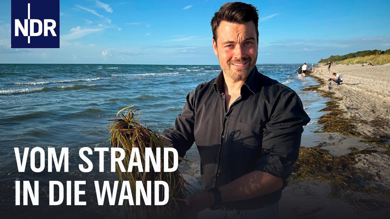 Rohstoff aus dem Meer: Wie aus Seegras ein Business wird | Die Nordreportage | NDR Doku