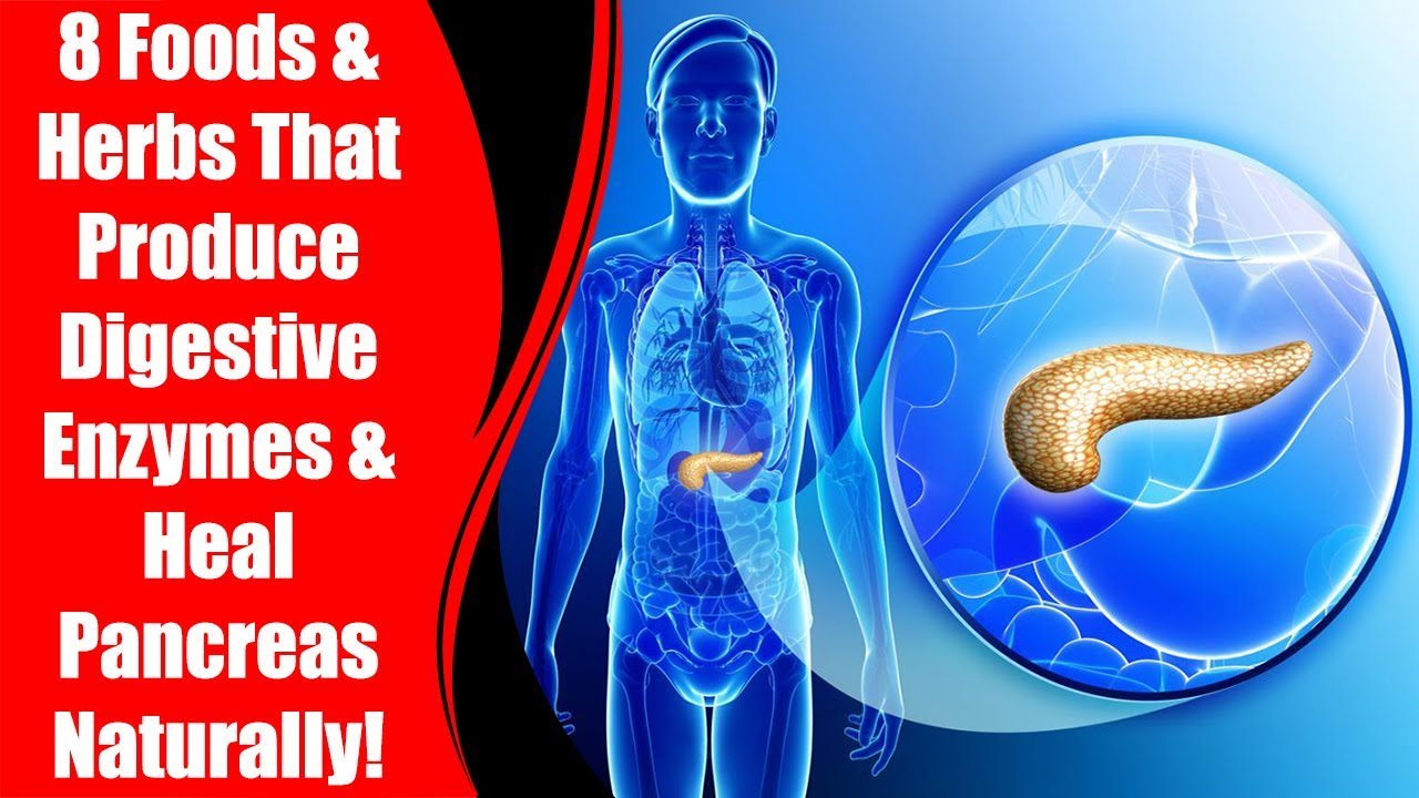 8 Foods & Herbs That Produce Digestive Enzymes & Heal Pancreas Naturally!  | Love Healthy Life